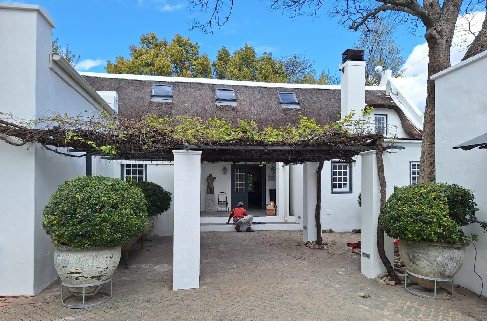 Cape Dutch home with vine pergola
