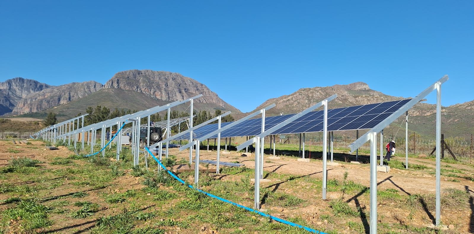 Solar array beside a vineyard